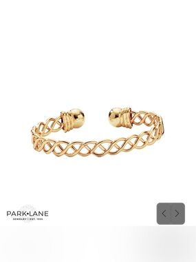 Park Lane “Lifestyle” Bracelet in Gold! BNIB!!